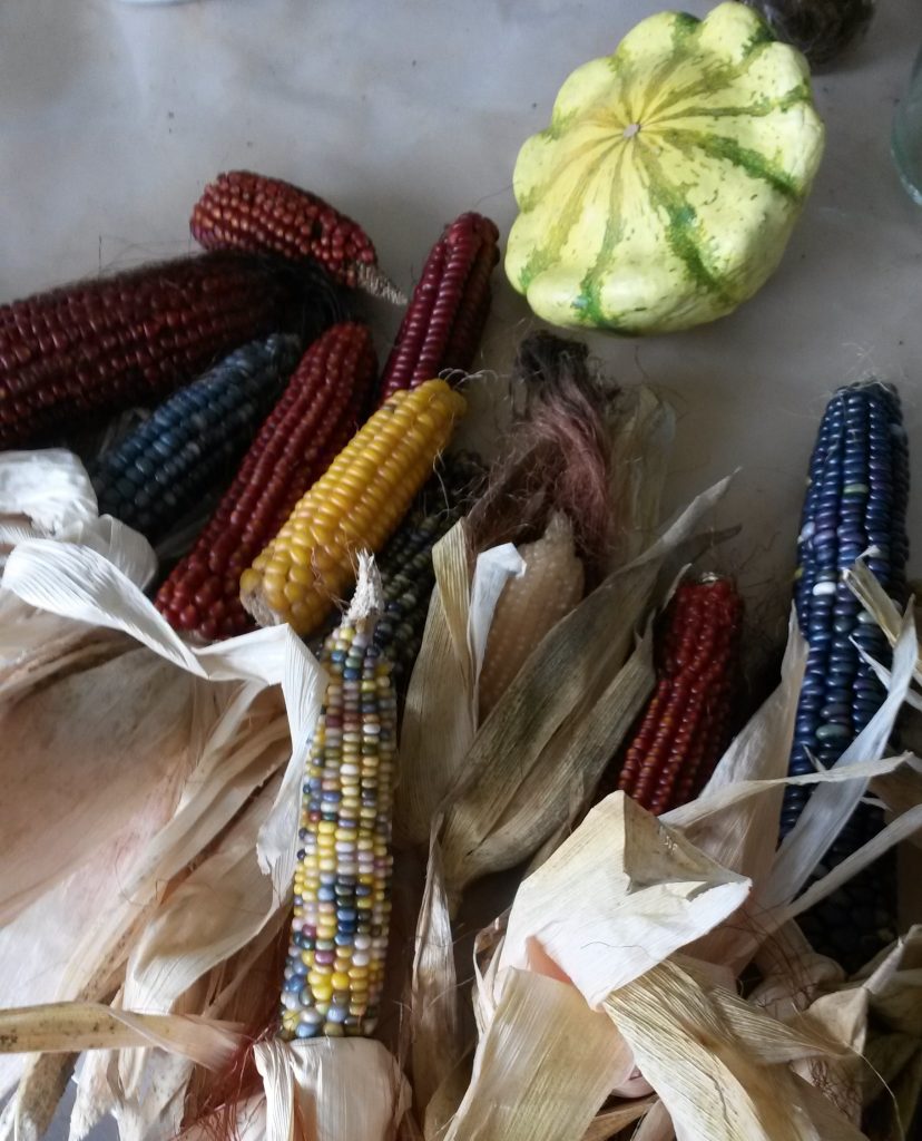 corn and gourds